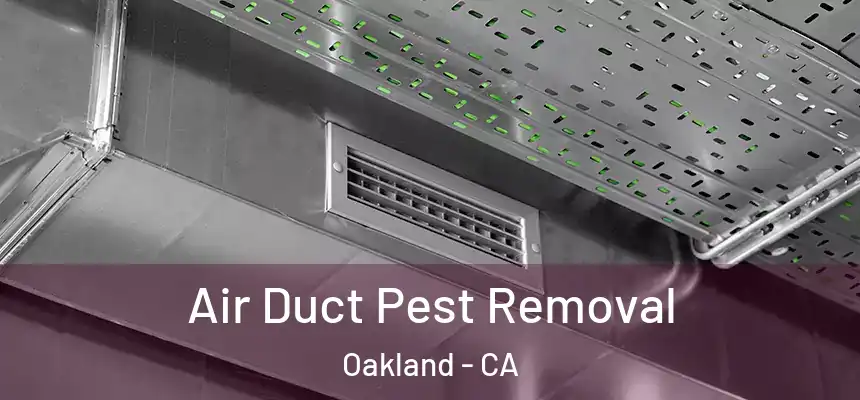  Air Duct Pest Removal Oakland - CA
