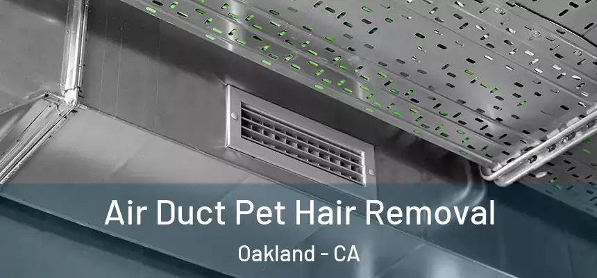  Air Duct Pet Hair Removal Oakland - CA