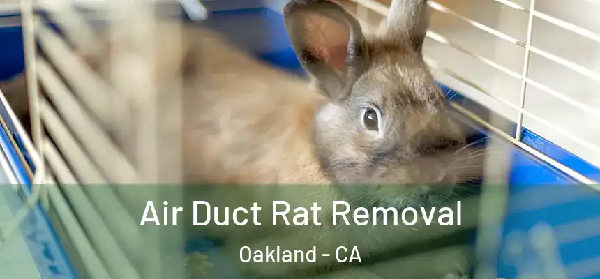  Air Duct Rat Removal Oakland - CA