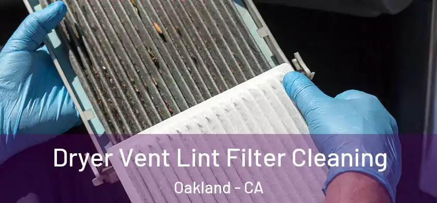  Dryer Vent Lint Filter Cleaning Oakland - CA