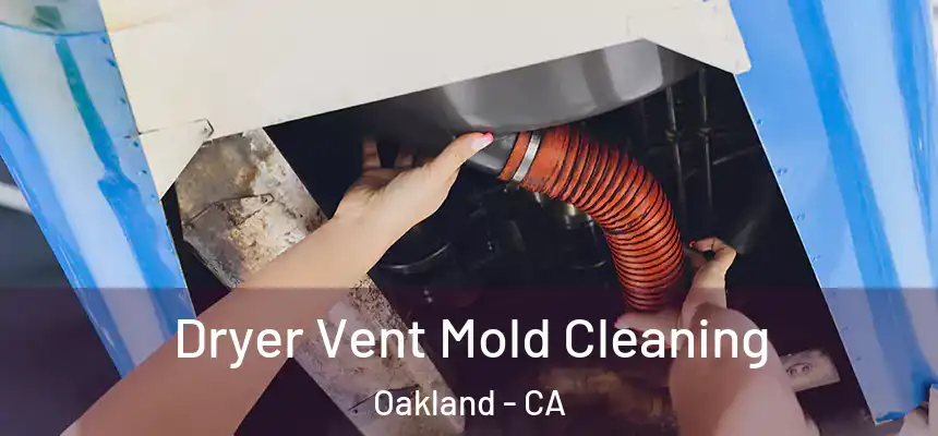 Dryer Vent Mold Cleaning Oakland - CA