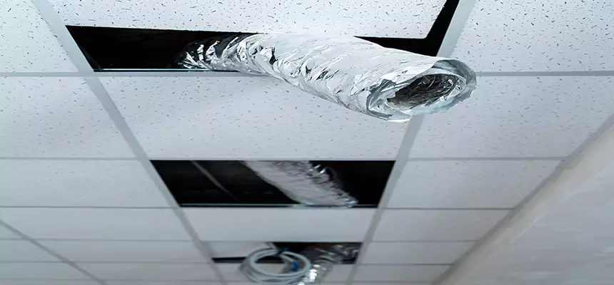 Our Air Duct Pet Hair Removal Services in Oakland, CA