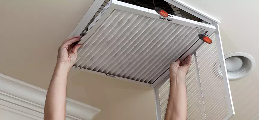 Our Insect Removal from Air Ducts Services in Oakland, CA