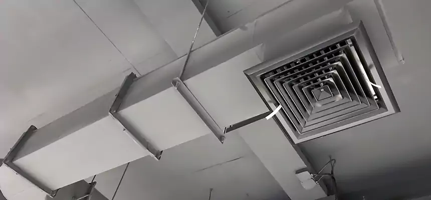 Our Pest Removal From Ducts Services in Oakland, CA