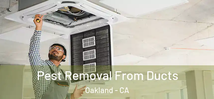 Pest Removal From Ducts Oakland - CA