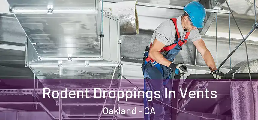 Rodent Droppings In Vents Oakland - CA
