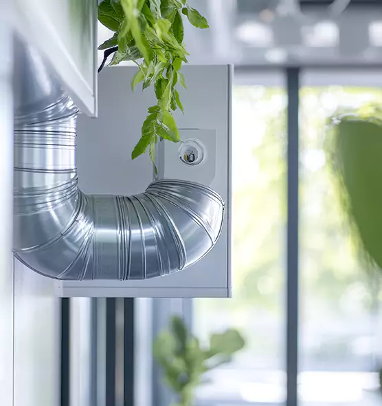 Professional Eco-Safe Dryer Vent Cleaning in Oakland, CA