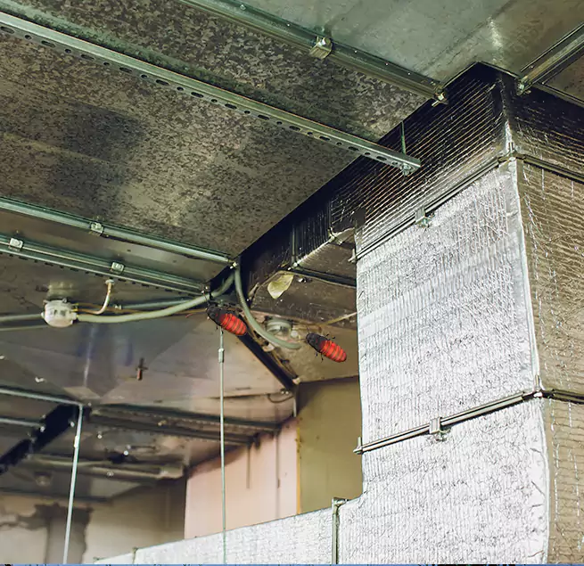 Why Homeowners & Businesses Trust Us Oakland, CA?