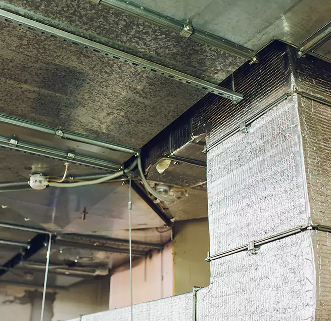 Why Homeowners & Businesses Trust Us in Oakland, CA?